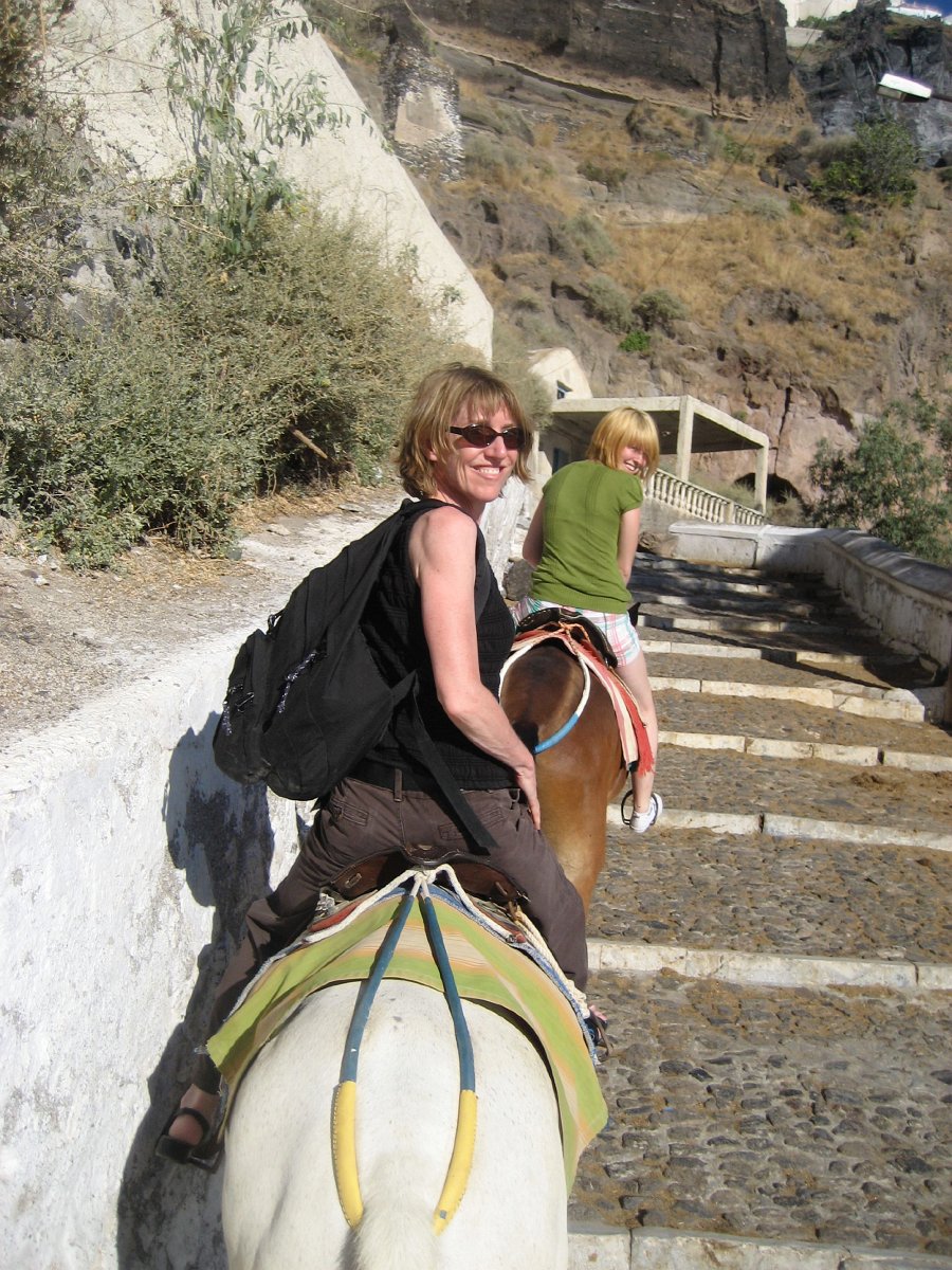 Cliff Climbing Donkeys-1